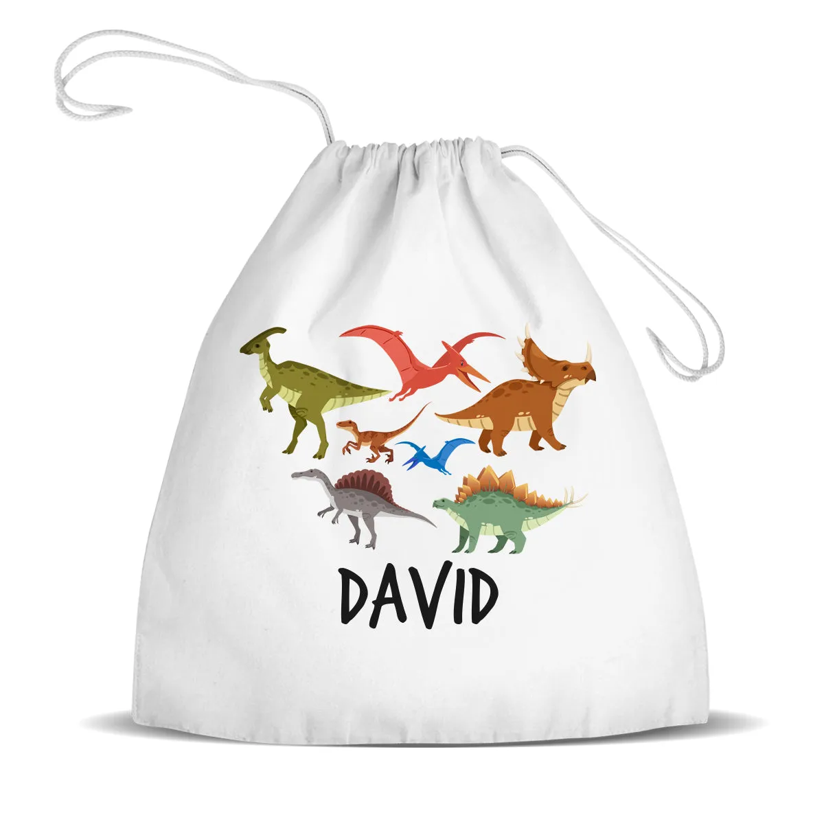 Dinosaur Design Premium Drawstring Bag