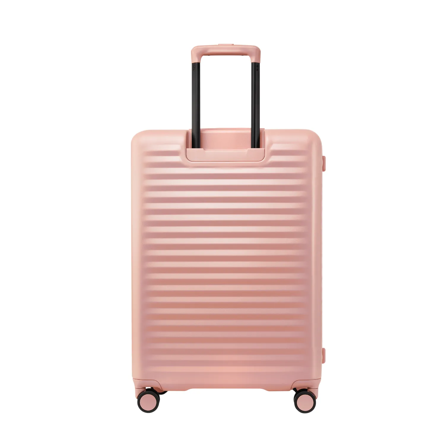 Echolac Celestra S 24" Medium Luggage Expandable Spinner