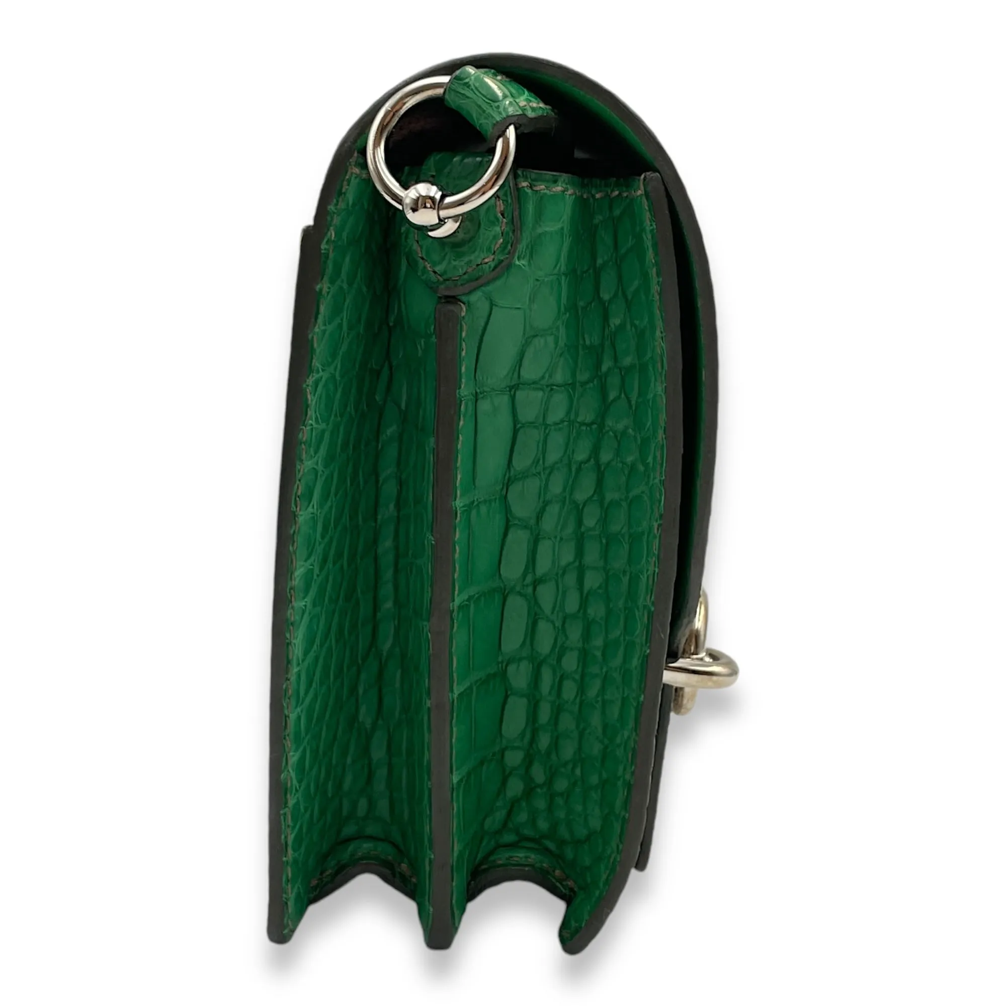 Roulis Touch Mini Ombre/Cactus in Lizard/Matte Alligator, Palladium hardware