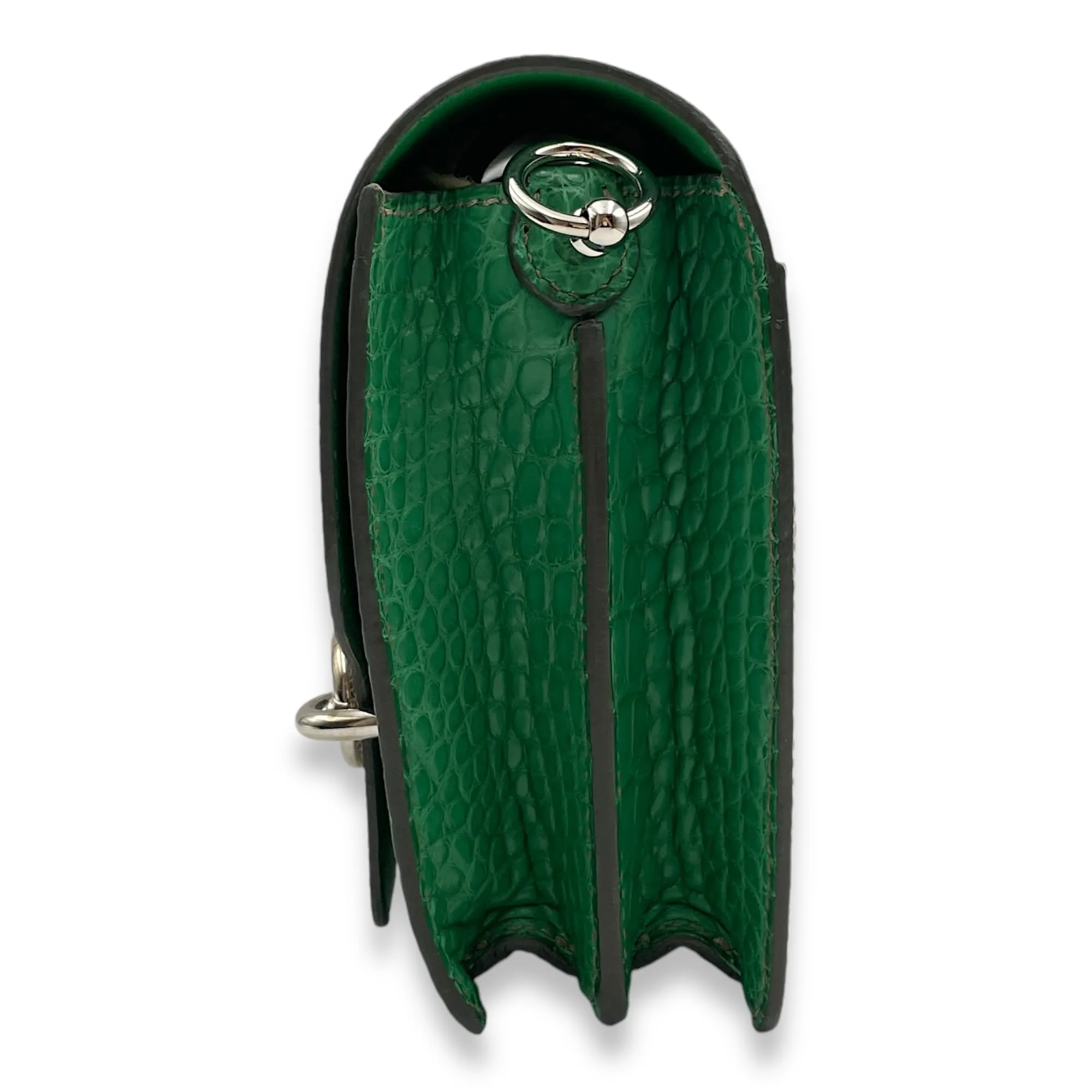 Roulis Touch Mini Ombre/Cactus in Lizard/Matte Alligator, Palladium hardware